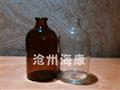模制藥瓶-河北?？蛊?模制抗生素玻璃瓶